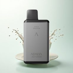 Adalya AD 10000 Puffs Éclat de Cactus Gris Spatial USB-C