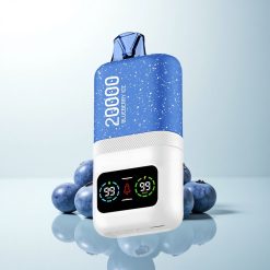 Aivono Aim Magic 20000 Puffs Glace Myrtille Dual Mesh LCD