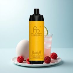 RandM Fumot Shisha 10000 Puffs Citronnade Framboise Bleue avec Batterie 850 mAh et E-Liquide 18ml