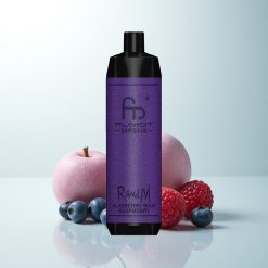 RandM Fumot Shisha 10000 Puffs Framboise Acidulée Myrtille avec 18ml et 0.6ohm Mesh Coil