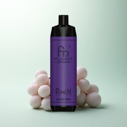RandM Fumot Shisha 10000 Puffs Menthe Raisin à LED et 0,6ohm Mesh