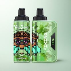 VapSolo VIKING 12000 Puffs Menthe Fraîche 22ml Type-C