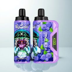 VapSolo VIKING 12000 Puffs Myrtille Affichage Type-C 22ml