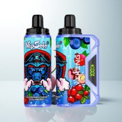 VapSolo VIKING 12000 Puffs Myrtille Cerise Canneberge Type-C 22ml