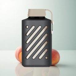 VOZOL GEAR 10000 Puffs Smoothie Pêche Mangue à Grande Capacité avec Protection d'Embout et Coil Mesh