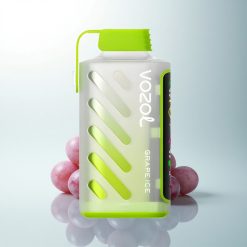 VOZOL Gear Power 20000 Puffs Glace de Raisin Dual Mesh Écran Plein 20mL