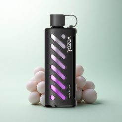 VOZOL Gear Shisha 25000 Puffs Menthe Raisin Double Mesh 1000mAh