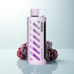 VOZOL Gear Shisha 25000 Puffs Mûre Glacée 1000mAh Dual Mesh