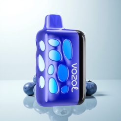 VOZOL RAVE 40000 Puffs Glace Myrtille Éclat Vibrant Charge Rapide