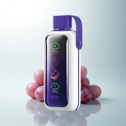 VOZOL Star 20000 Puffs Glace Raisin Écran HD Double Mesh