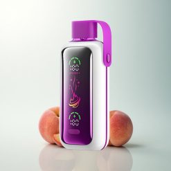 VOZOL Star 20000 Puffs Jus de Pêche Glacé avec Écran HD et Double Mesh