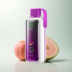 VOZOL Star 20000 Puffs Pêche Mangue Pastèque avec Écran HD 2,2'' et Double Mesh