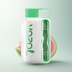 VOZOL STAR 40000 Puffs Chewing-Bulle Pastèque 1000mAh Type-C 20/50mg/ml
