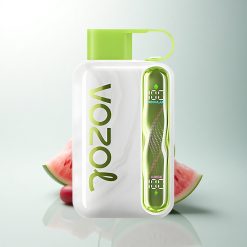 VOZOL STAR 40000 Puffs Pastèque Raisin Boysenberry 1000mAh Type-C 20/50mg