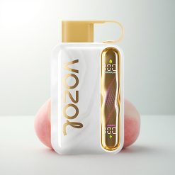 VOZOL STAR 40000 Puffs Pêche Blanche Framboise 1000mAh Type-C 20/50mg/ml