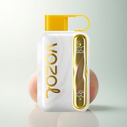 VOZOL STAR 40000 Puffs Pêche Mangue Type-C 1000mAh 20/50mg