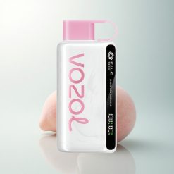 VOZOL STAR 9000/12000 Puffs Glace de Pêche Recyclée avec Charge Rapide