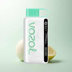 VOZOL STAR 9000/12000 Puffs Menthe Citronnée avec Affichage Secouable et Recyclé