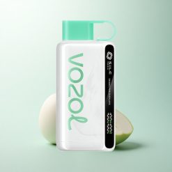 VOZOL STAR 9000/12000 Puffs Menthe Fraîche Recyclé avec Charge Rapide