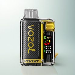 VOZOL Vista 20000 Puffs Glace Mangue Écran OLED 650mAh